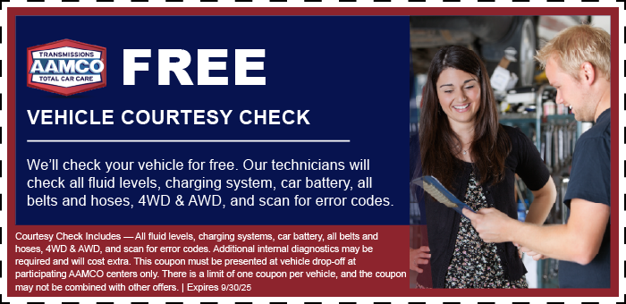 Image of vehicle courtesy check coupon with mechanic talking to customer